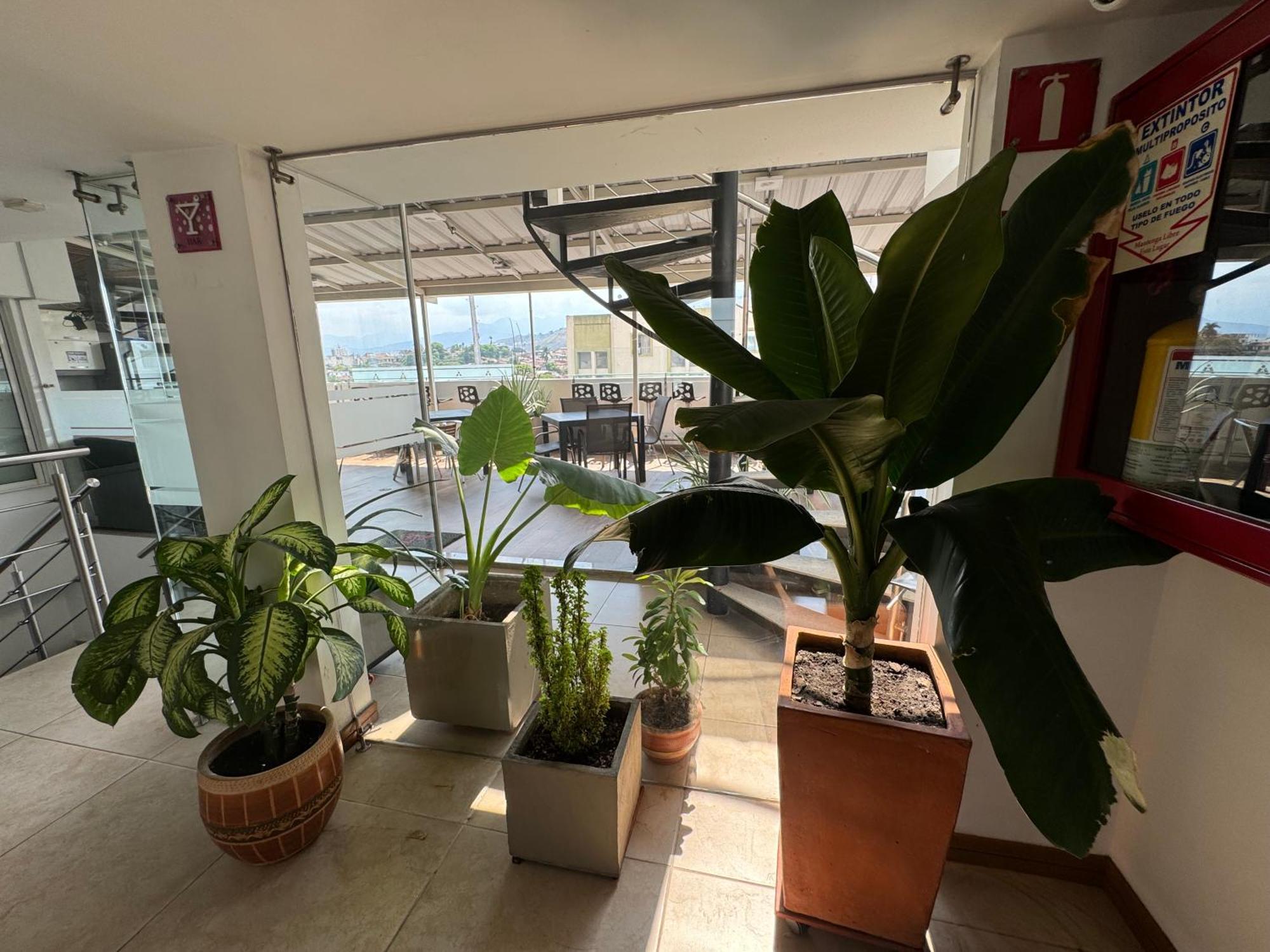 קאלי Hotel San Antonio Plaza מראה חיצוני תמונה